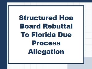 Responding to Due Process Allegations in Florida