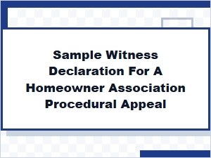 Guide to a Procedural Appeal Witness Declaration
