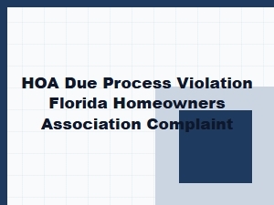 Florida Hoa Complaint and Due Process Rights